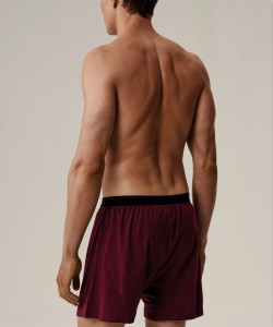 Мужские трусы Atlantic 2MBX-025 - графитовый/каберне