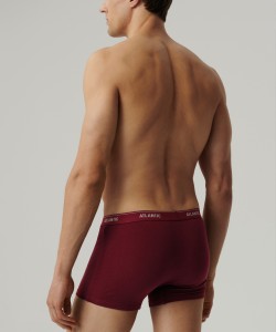 Мужские трусы Atlantic 2RMH-011 - графитовый/каберне