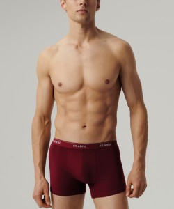 Мужские трусы Atlantic 2RMH-011 - графитовый/каберне