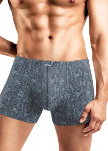 Мужские трусы боксеры Clever MSH450311 - т. синий/св. голубой 